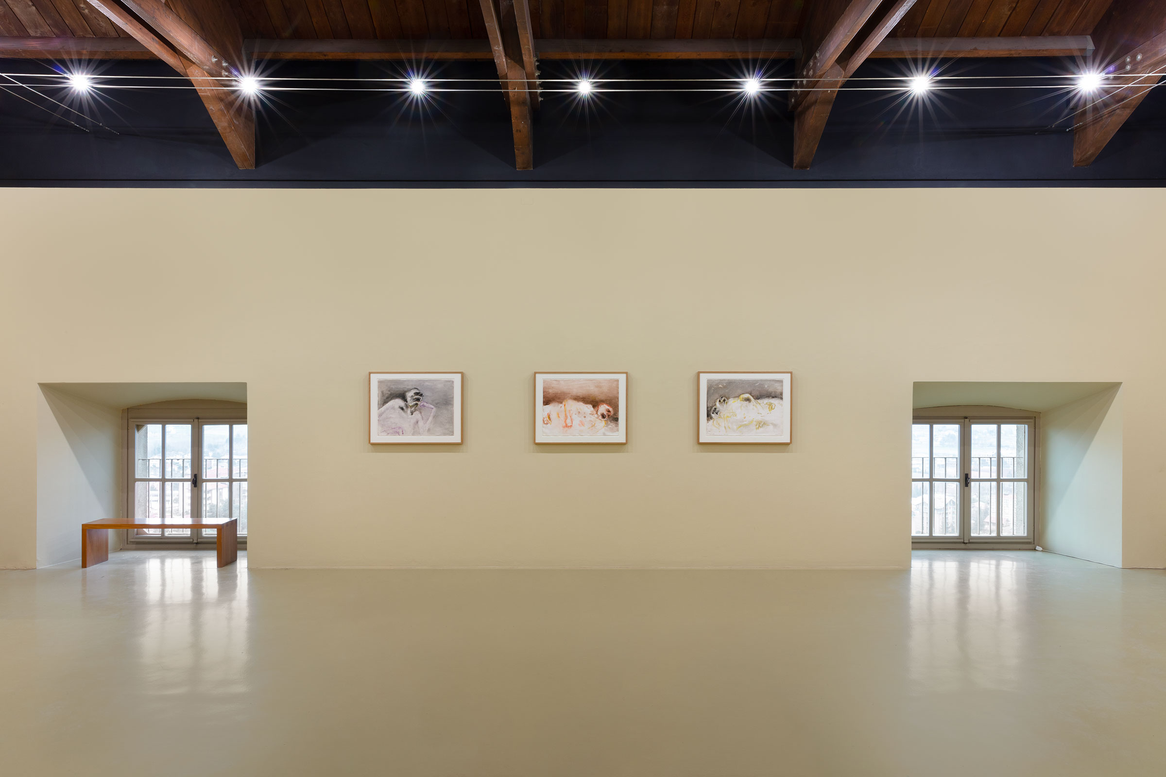 Anton Zoran Muu0161iu010d, Nous ne sommes pas les dernieres, 1970-1988